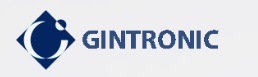 GINTRONIC AG